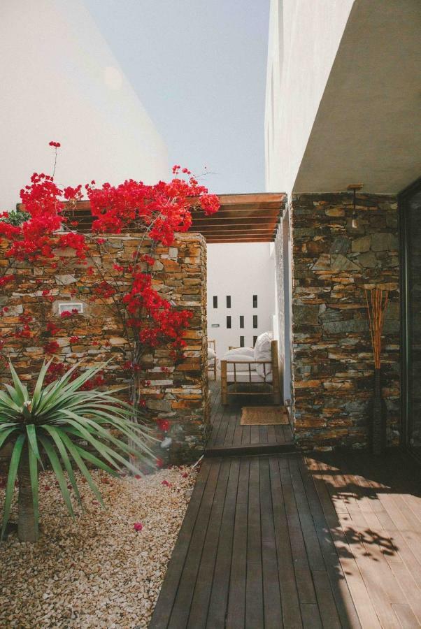 Bed and Breakfast Casa La Bonita à Agua Amarga  Extérieur photo